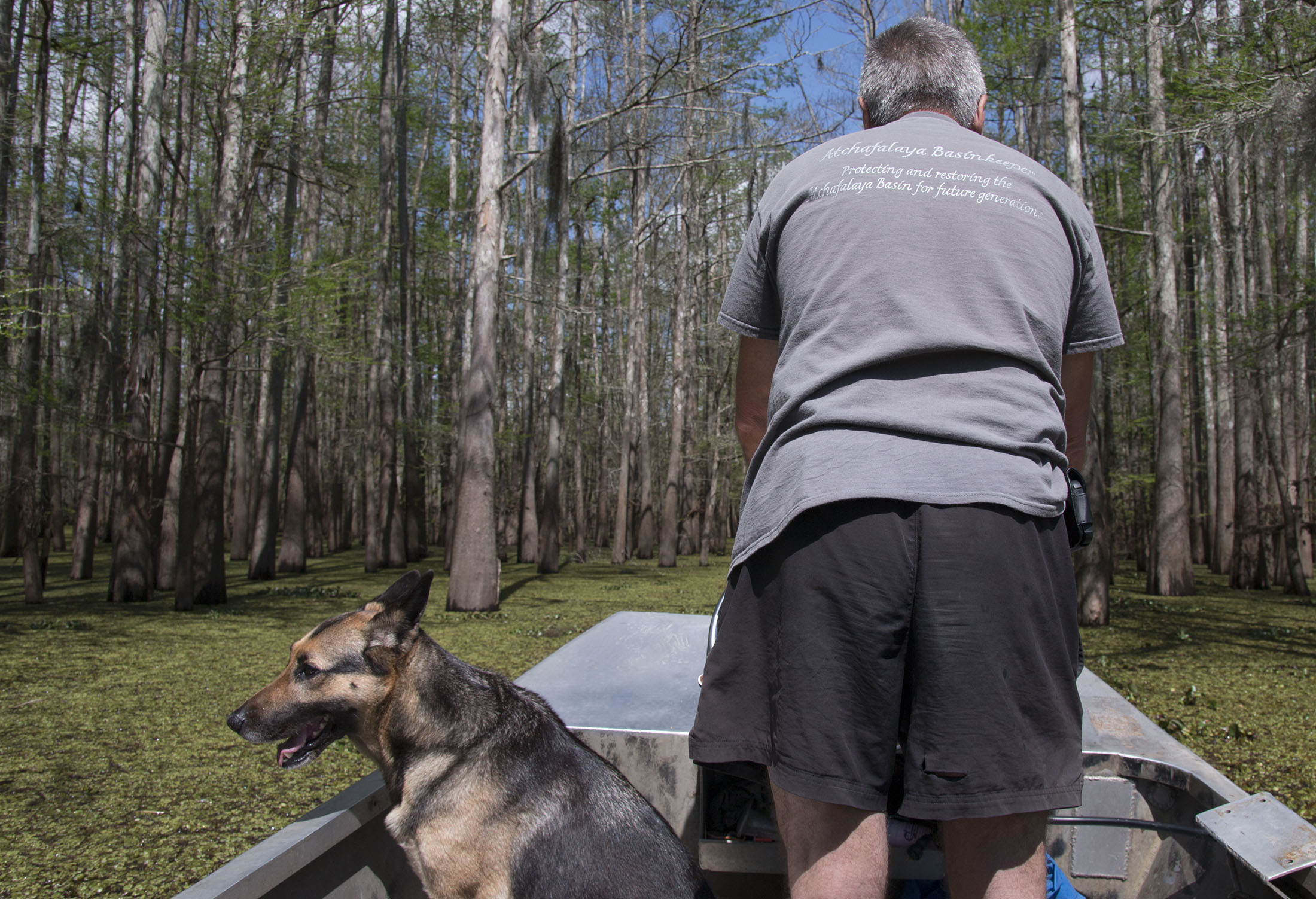Dean Wilson was a commercial fisherman before companies began logging in the basin. Now he works to raise awareness and fight destruction of the swamp ecosystem through Atchafalaya Basinkeeper.