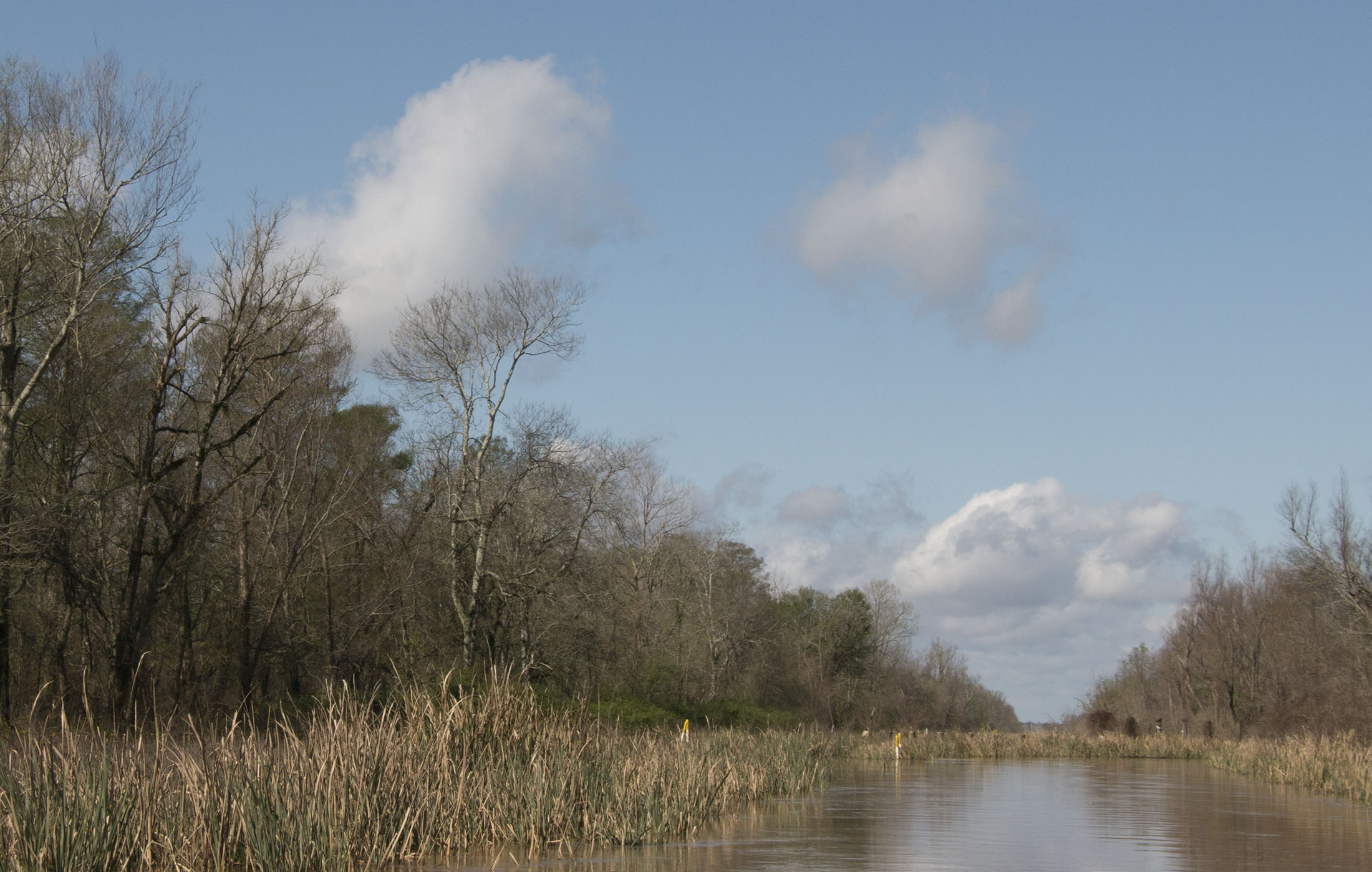 Excess sedimentation and hundreds of years of logging have left the Atchafalaya a shadow of its former self, but groups such as the Atchafalaya Basinkeeper are fighting to preserve it.